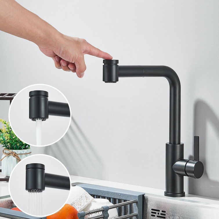 Belfry Kitchen Black Extendable Kitchen Faucet | Wayfair.co.uk